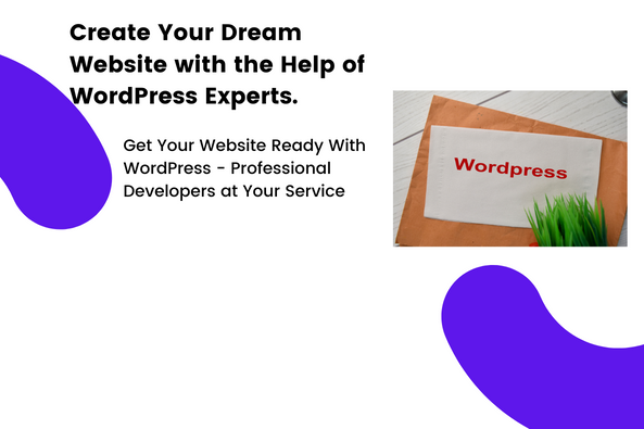 Wordpress Development Kuwait